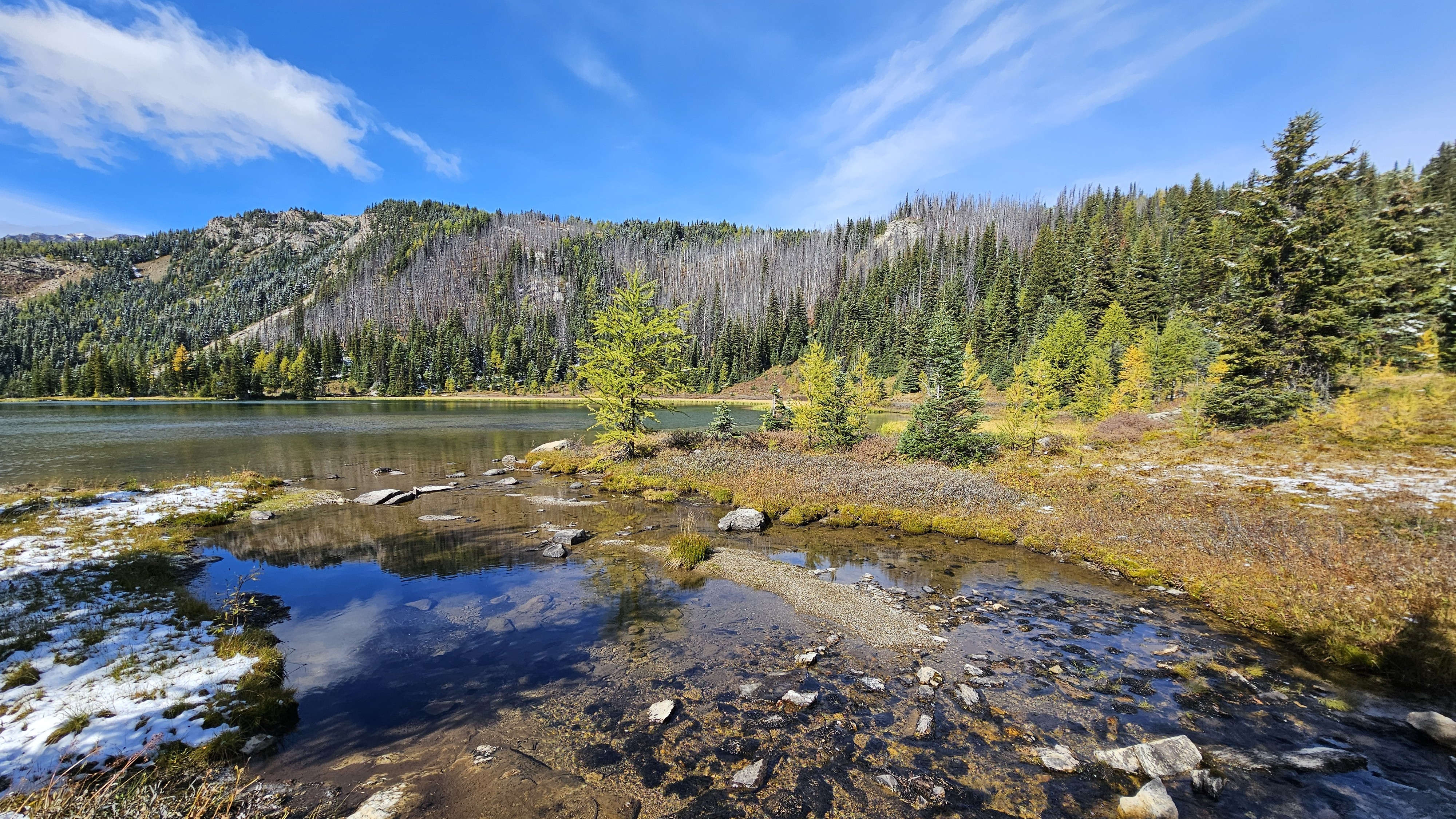 Sunshine Meadows